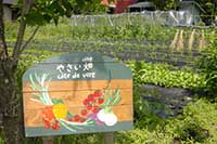 コート・ドゥ・ヴェール農園