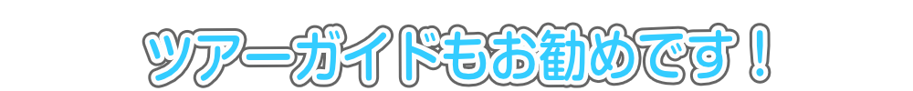 ツアーガイドもお勧めです