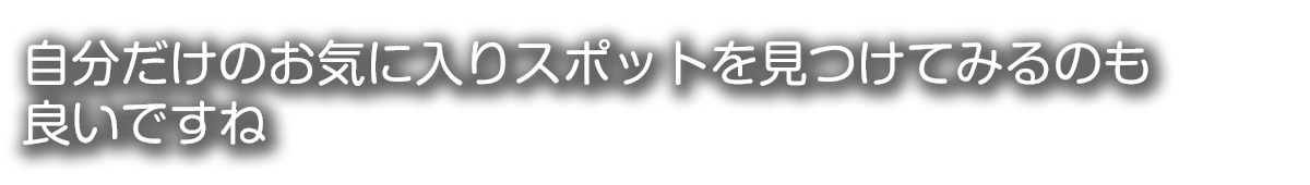 周辺の地域の観光施設