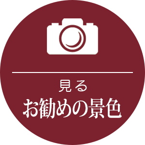 周辺の地域の観光施設