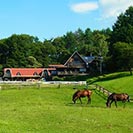 小須田牧場