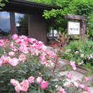 雅樹雅(あじゅが)