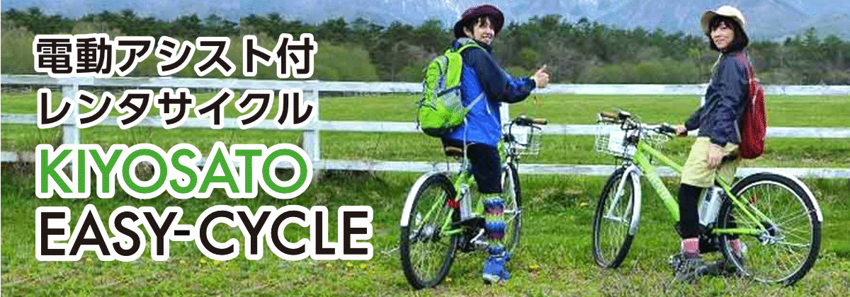 アシスト付きレンタル自転車