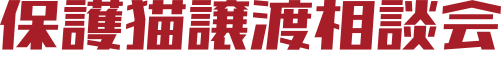 保護猫譲渡相談会