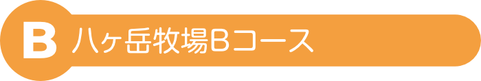 八ヶ岳牧場Bコース