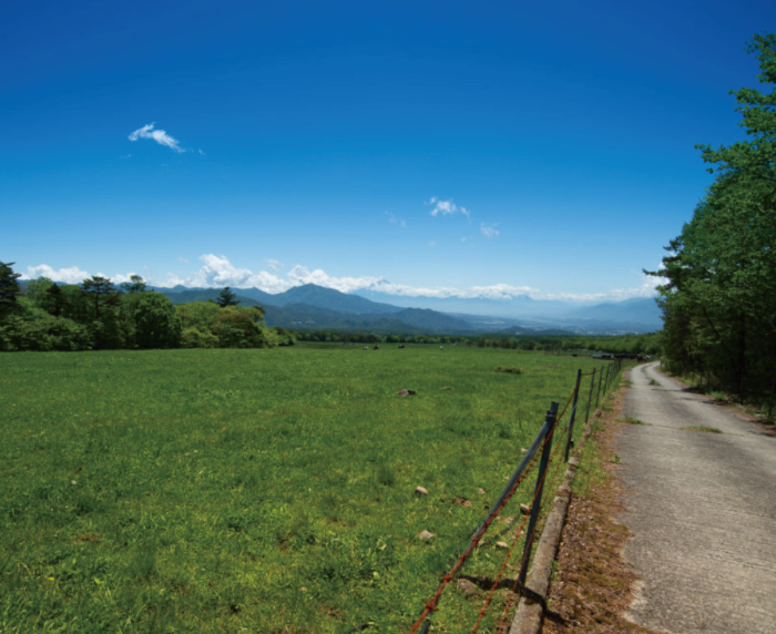 八ヶ岳牧場Bコース