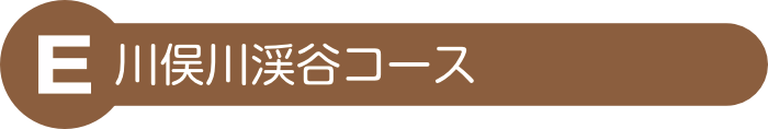 川俣川渓谷コース