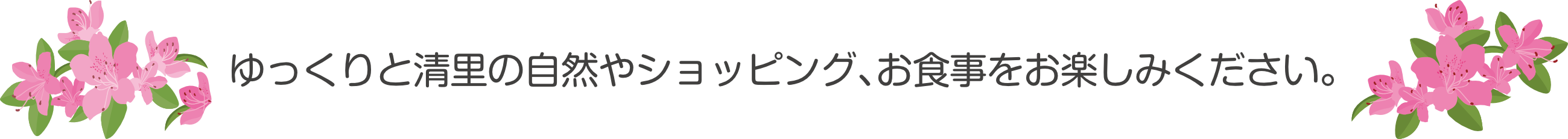 ゆっくりと清里の自然やショッピング、お食事をお楽しみください。