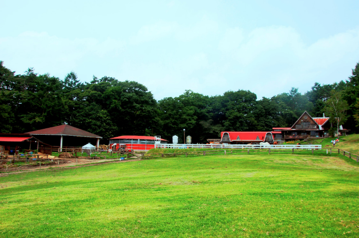 小須田牧場よりお客様へ