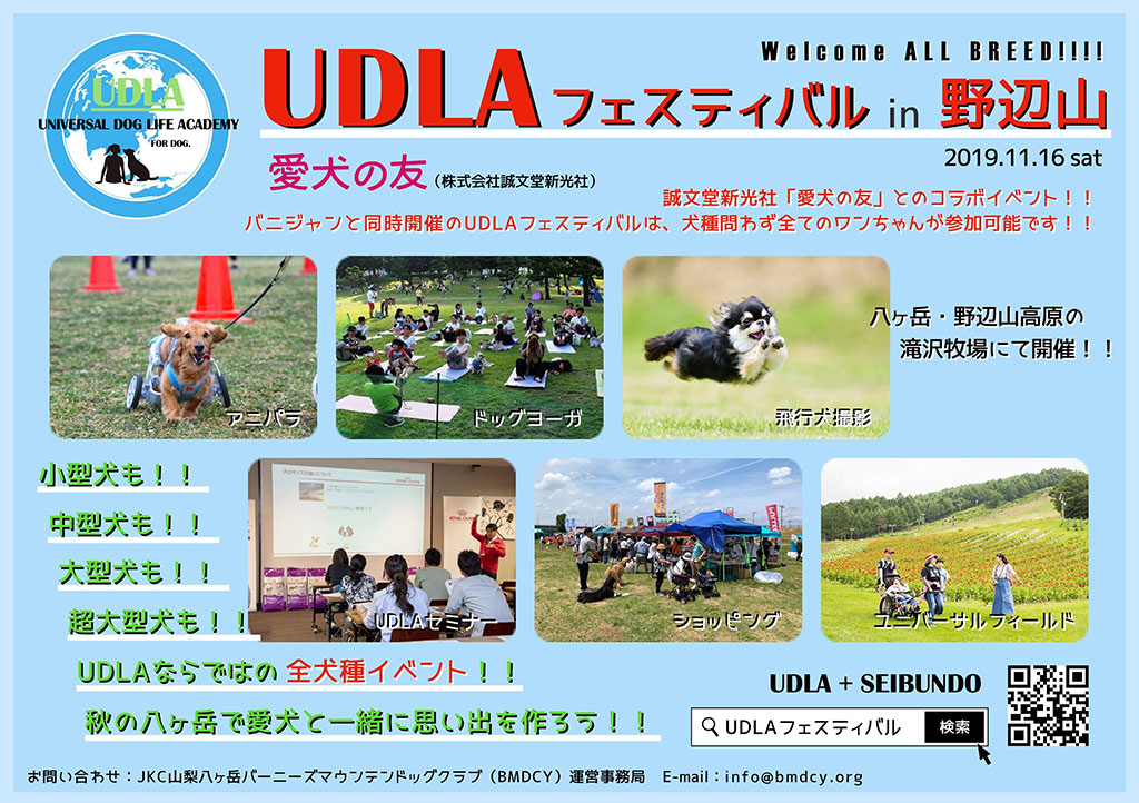 UDLAフェスティバル