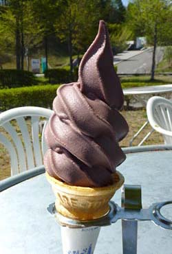 ブルーベリーソフトクリーム
