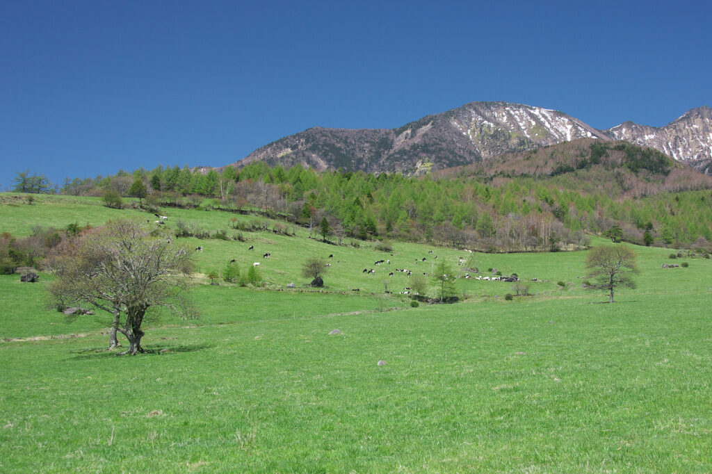 八ヶ岳牧場Aコース