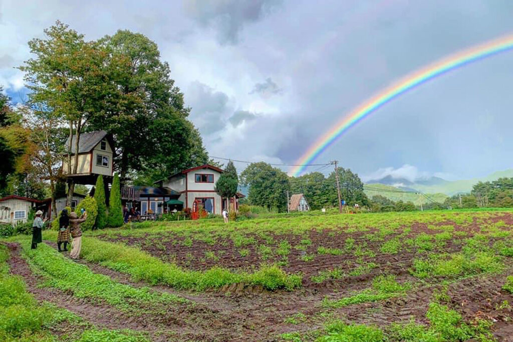 清里フィールドマジック