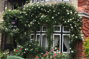 オールドエイジ