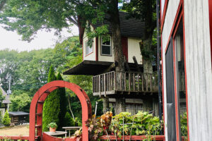 清里フィールドマジック