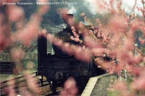 C56小海線「高原のポニー」