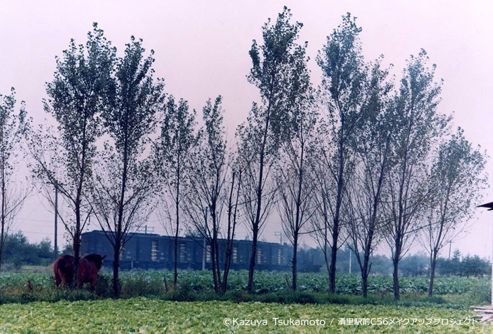 C56小海線「高原のポニー」