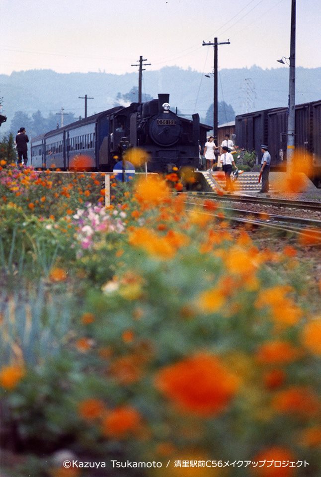 C56小海線「高原のポニー」