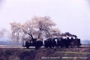 C56小海線「高原のポニー」