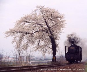 C56小海線「高原のポニー」