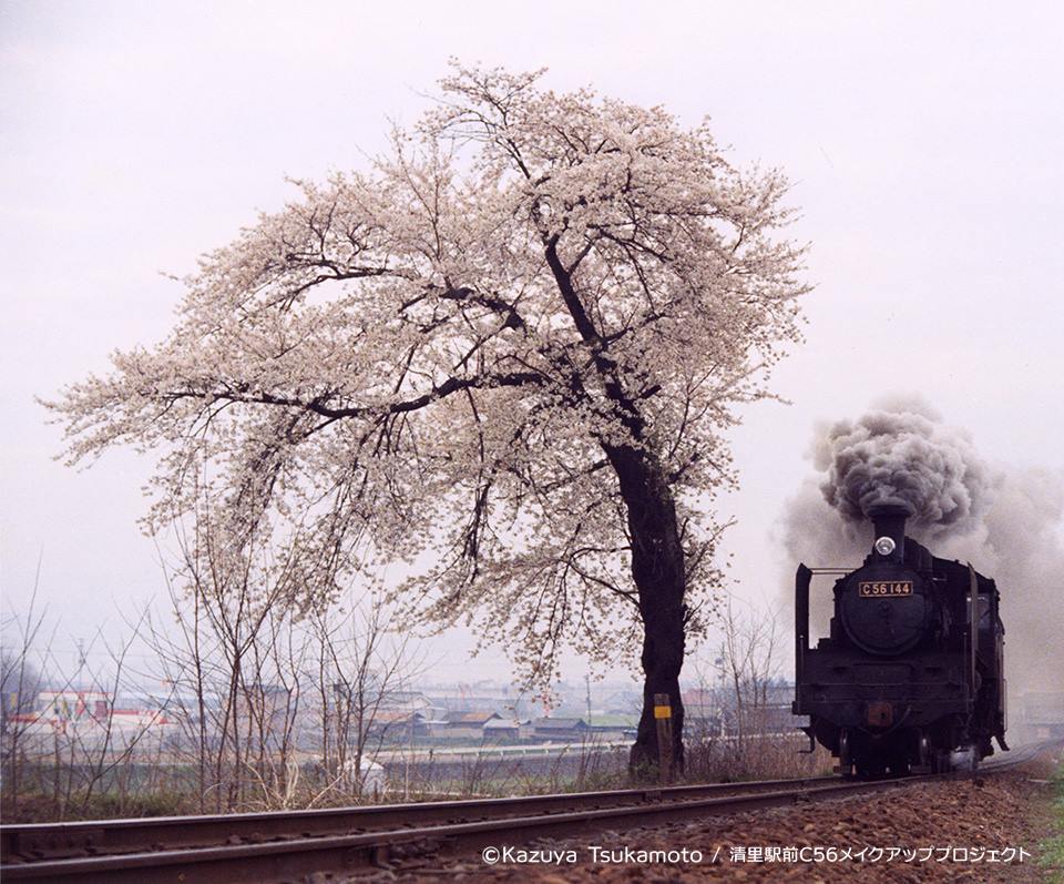 C56小海線「高原のポニー」