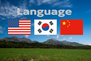 Languageの写真(山梨県北杜市)