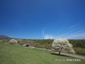 まきば公園