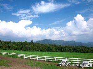 ファームショップ周辺牧草地