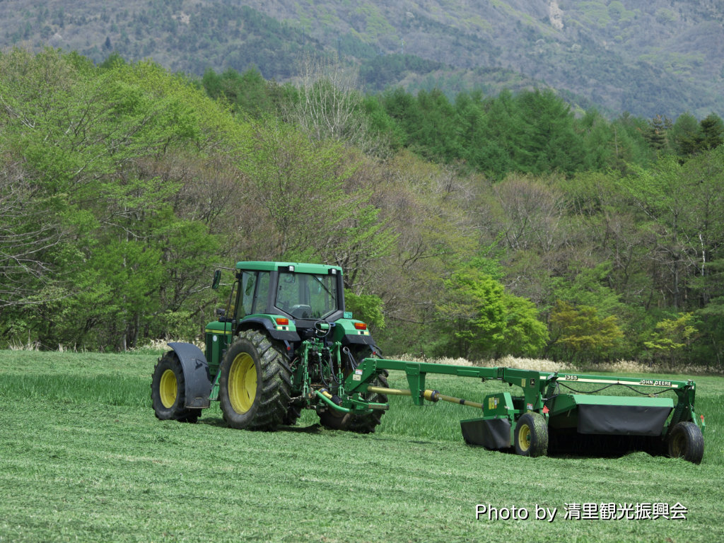 ファームショップ周辺牧草地