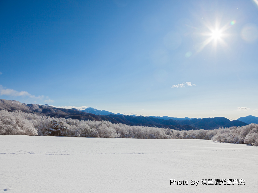 ファームショップ周辺牧草地