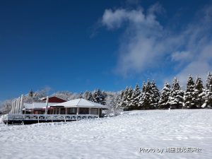 ファームショップ周辺牧草地