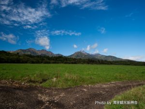 ファームショップ周辺牧草地
