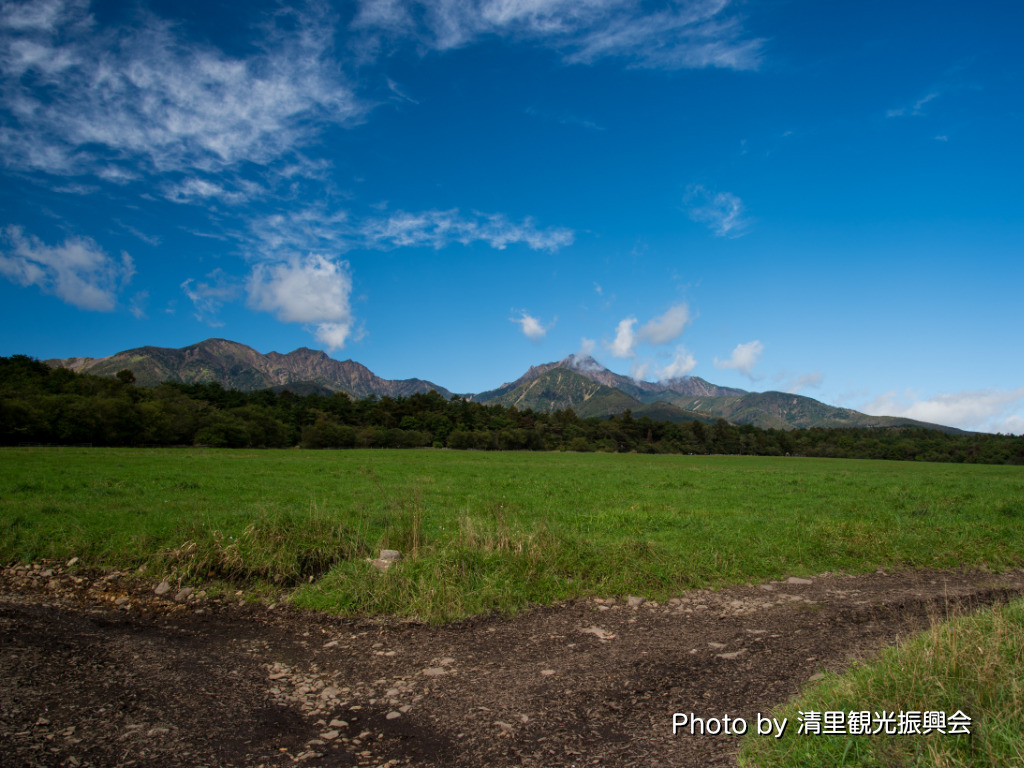 ファームショップ周辺牧草地