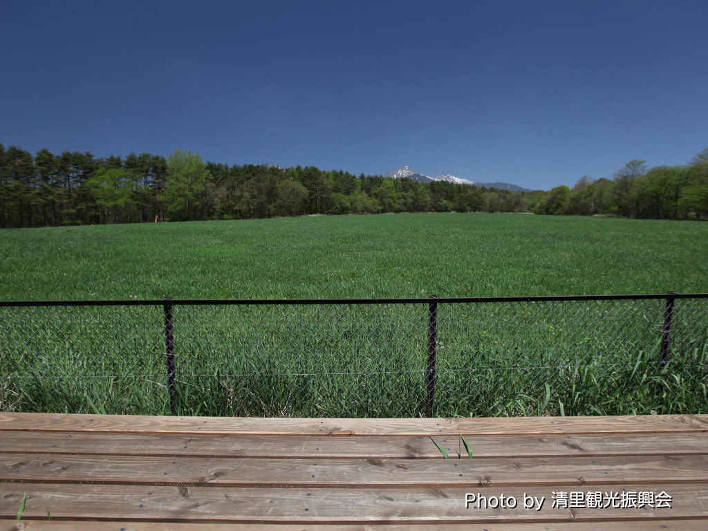 シーニックデッキ