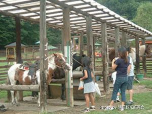 コート・ドゥ・ヴェール