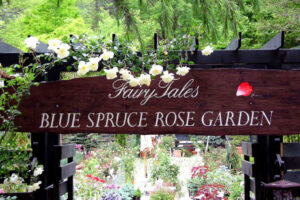 フェアリーテイルズ