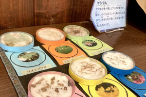 清泉寮　やまねミュージアム