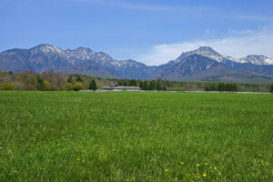 清泉寮ファームショップ