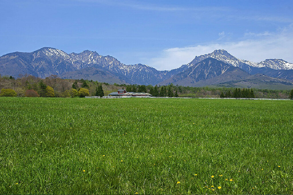 清泉寮ファームショップ