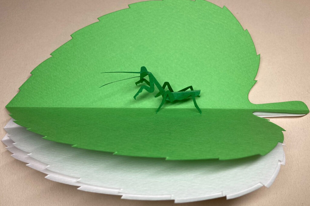 紙わざの店 ペーパーバグ