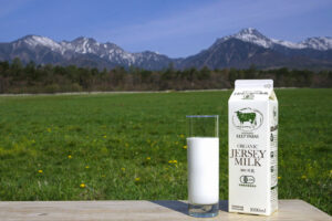 清泉寮ギフトショップ