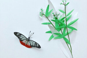 紙わざの店 ペーパーバグ