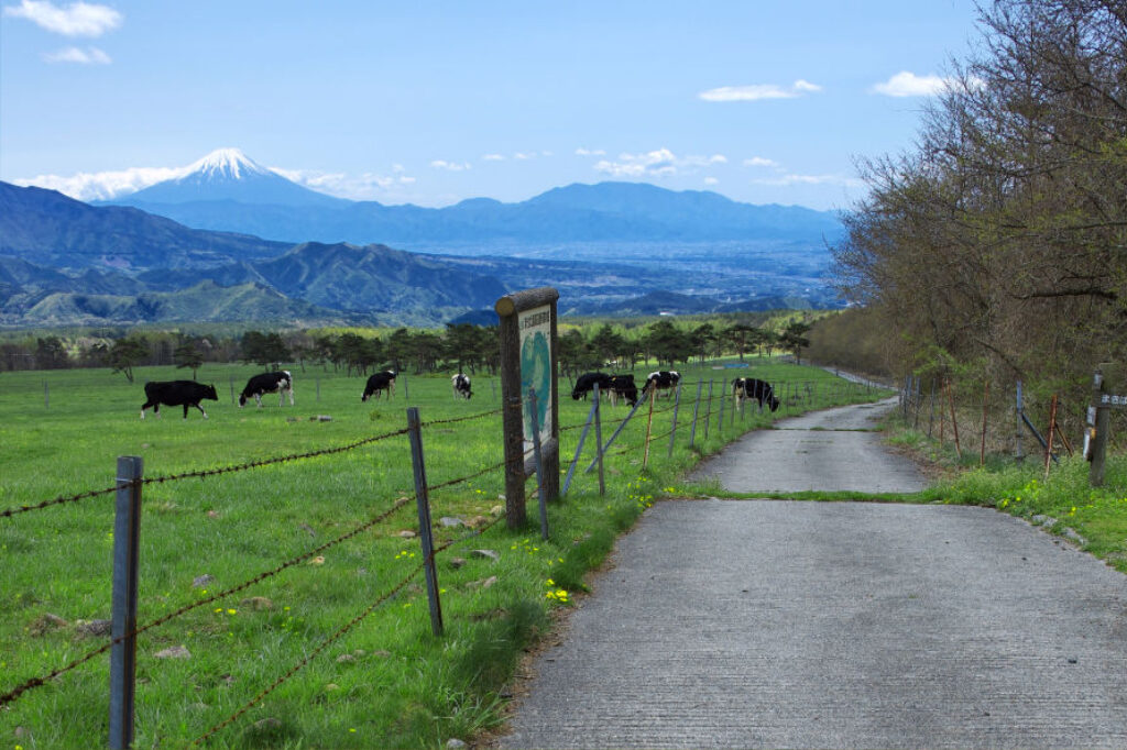 県営八ヶ岳牧場Bコース