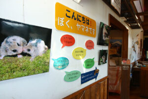 清泉寮　やまねミュージアム