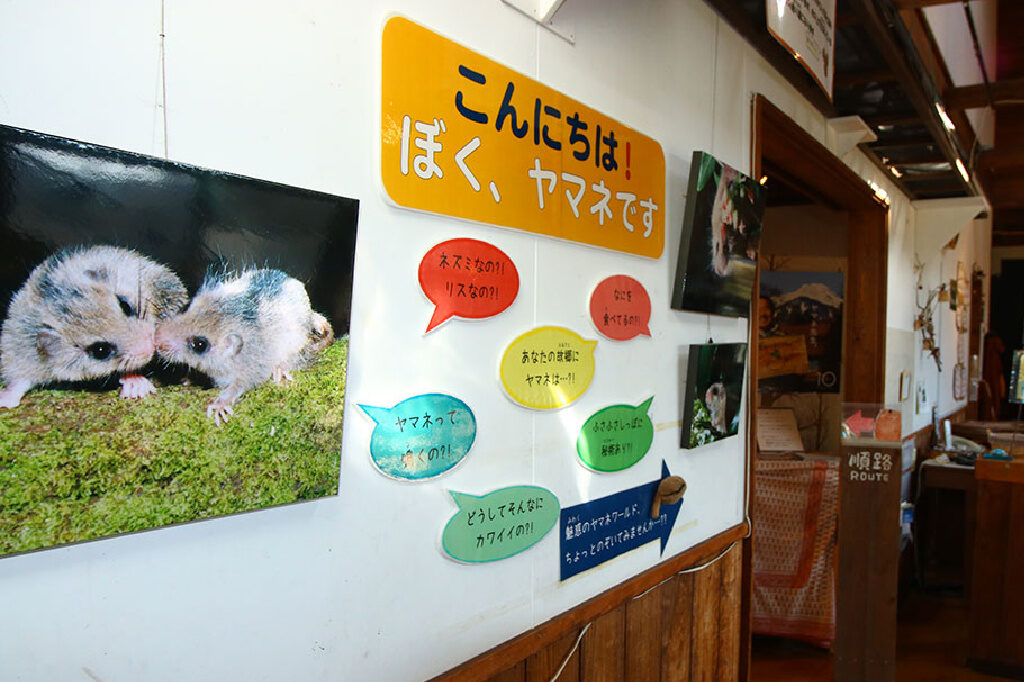 清泉寮　やまねミュージアム