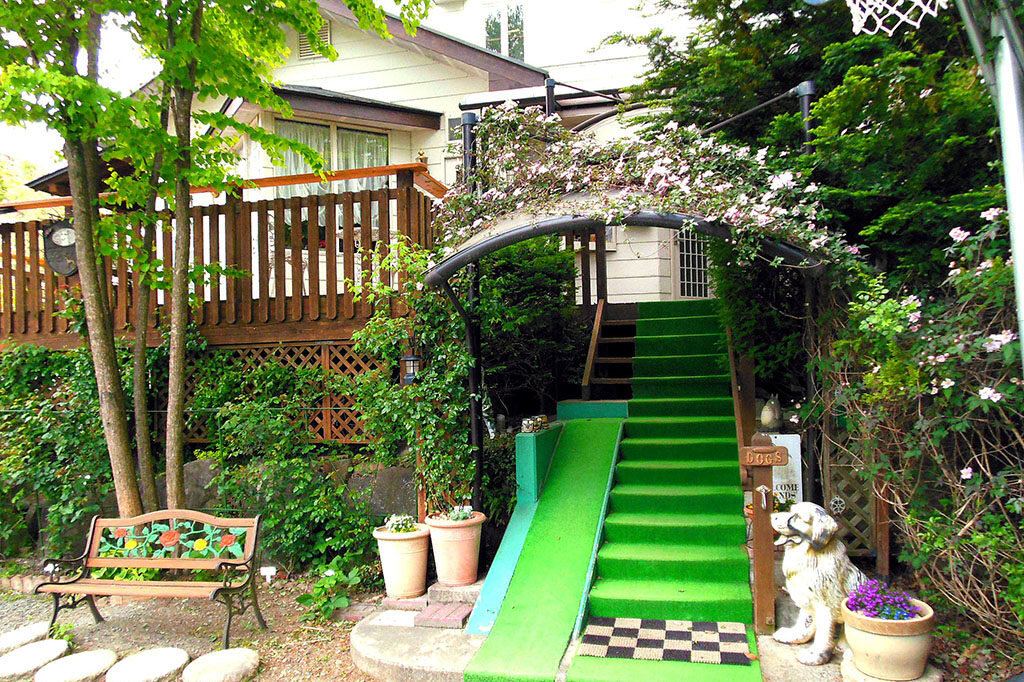 グレイハウンド