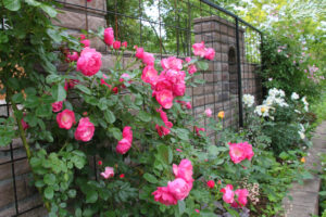 ゲストハウス ミュー