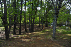 清里丘の公園レジャーパーク