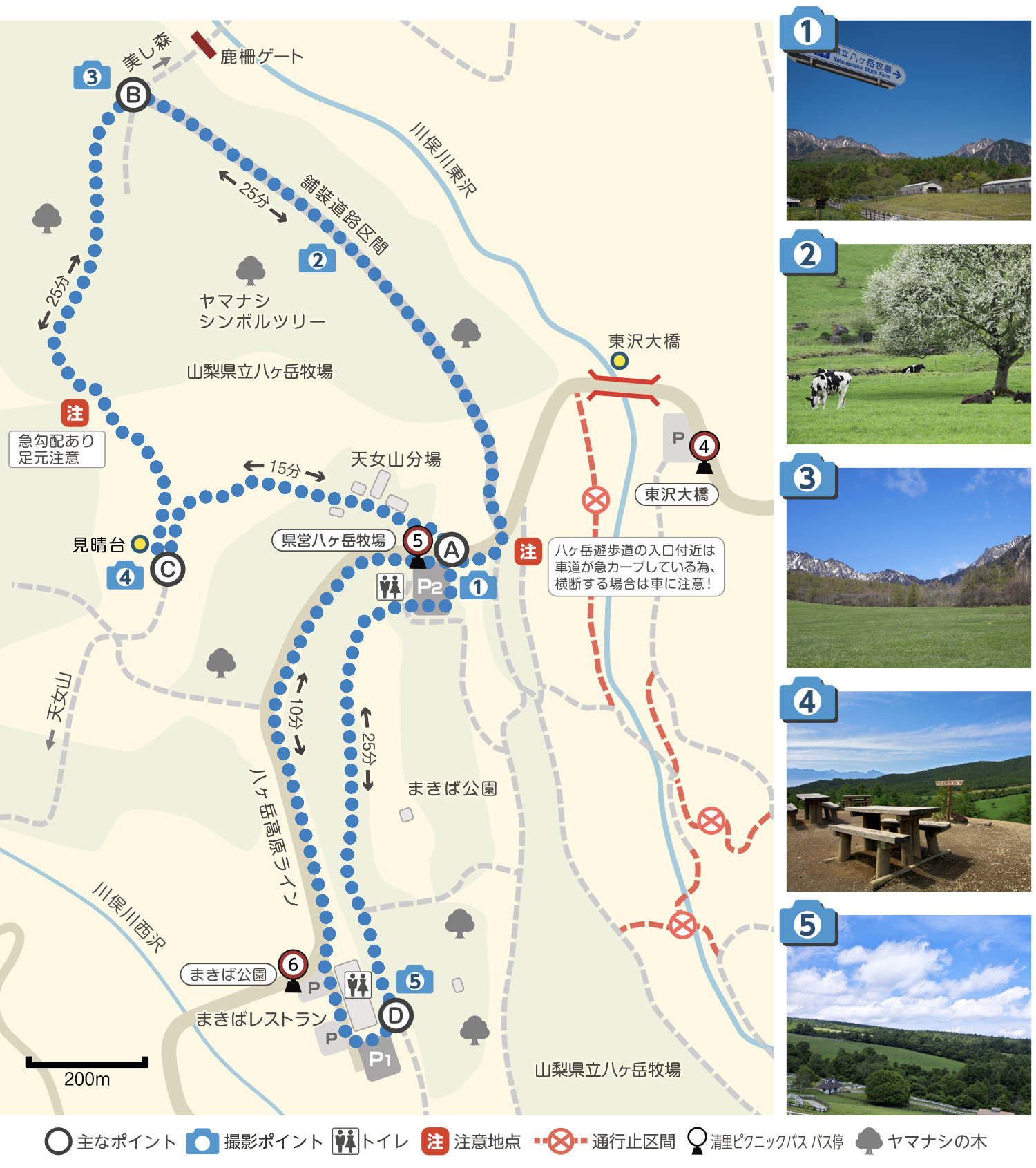 八ヶ岳牧場Aコースマップ
