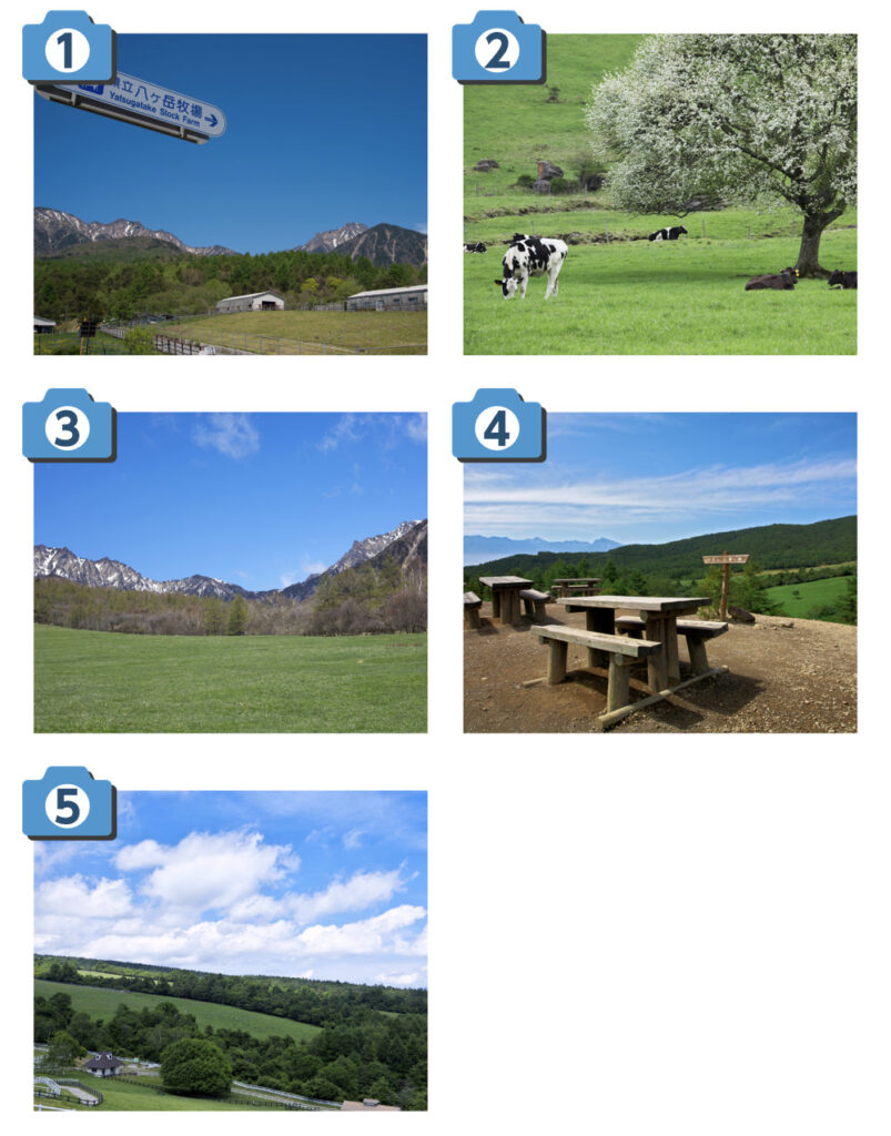 撮影ポイント画像